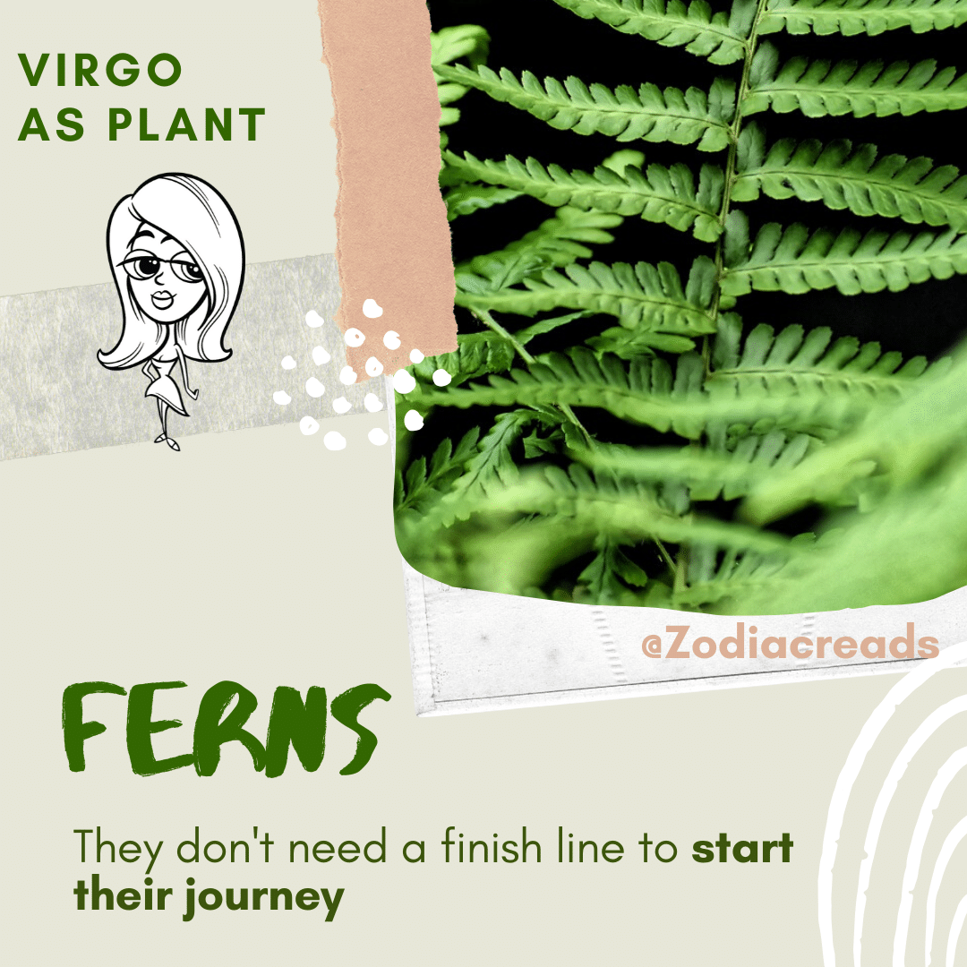 VIRGO-Signs-as-Plants-Zodiacreads