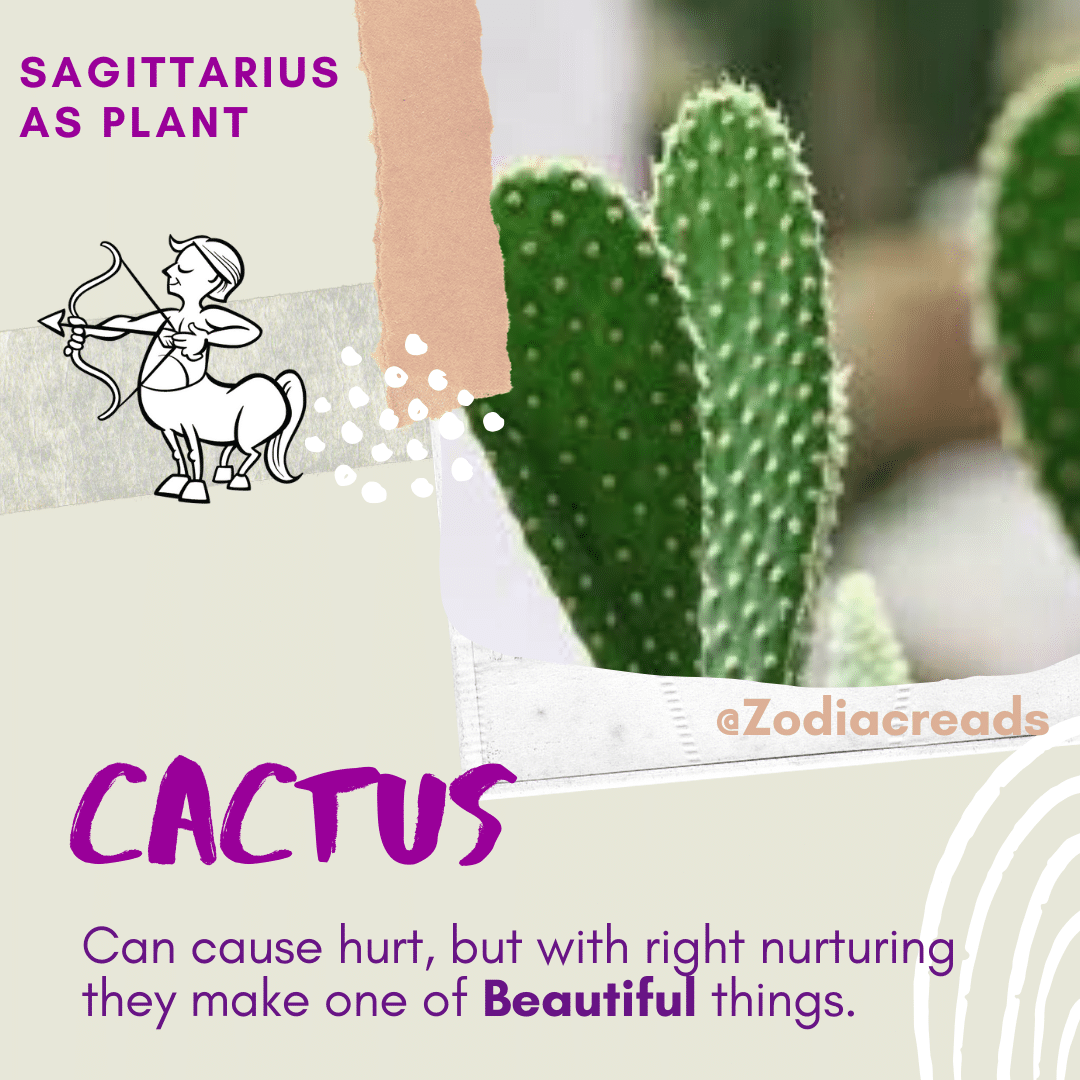 SAGITTARIUS-Signs-as-Plants-Zodiacreads