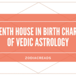 tenth house in birth chart of vedic astrology