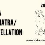 Ardra Nakshatra constellation