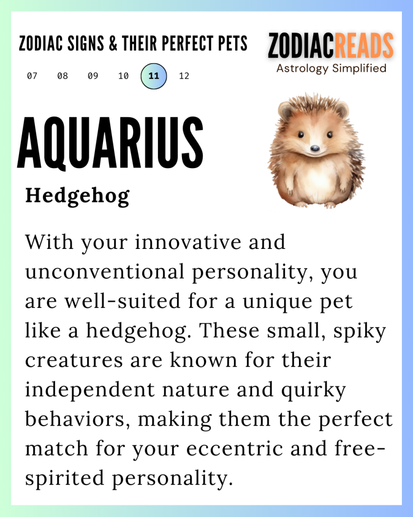 Aquarius and Pet
