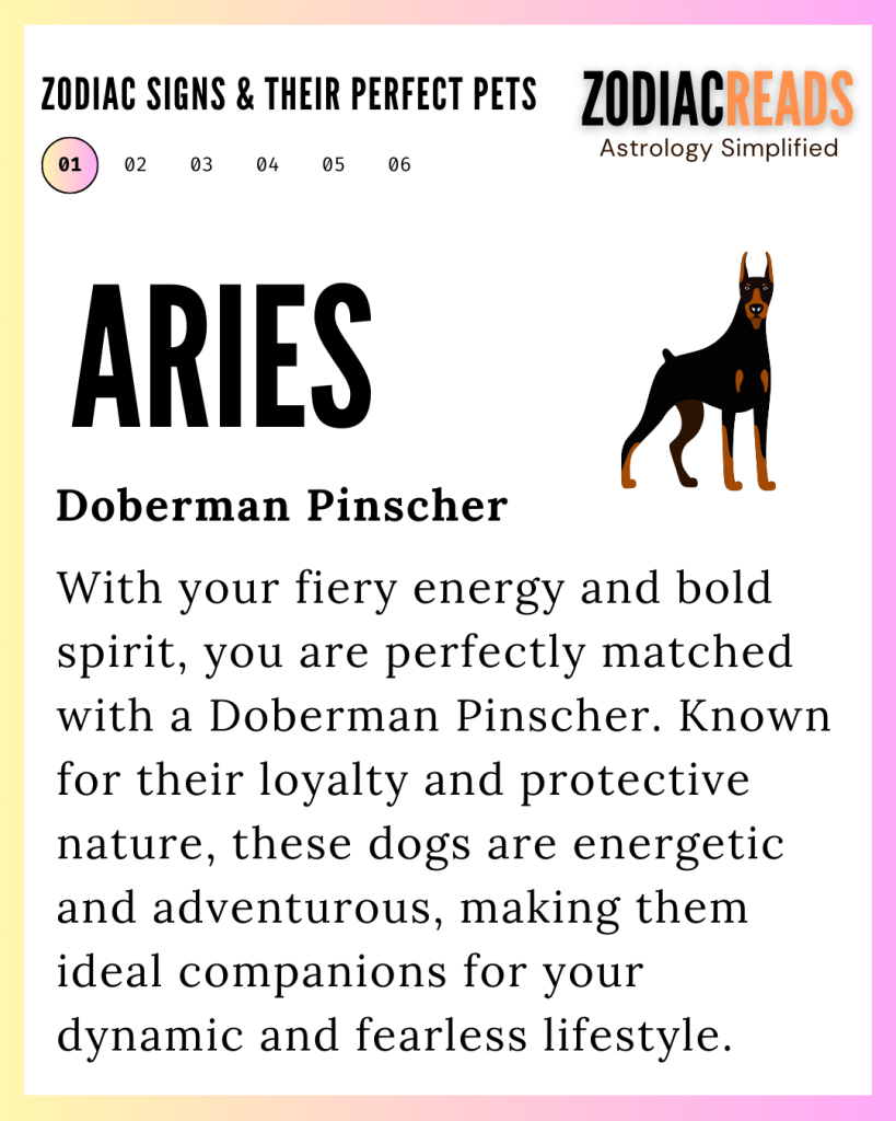 Aries and pet
