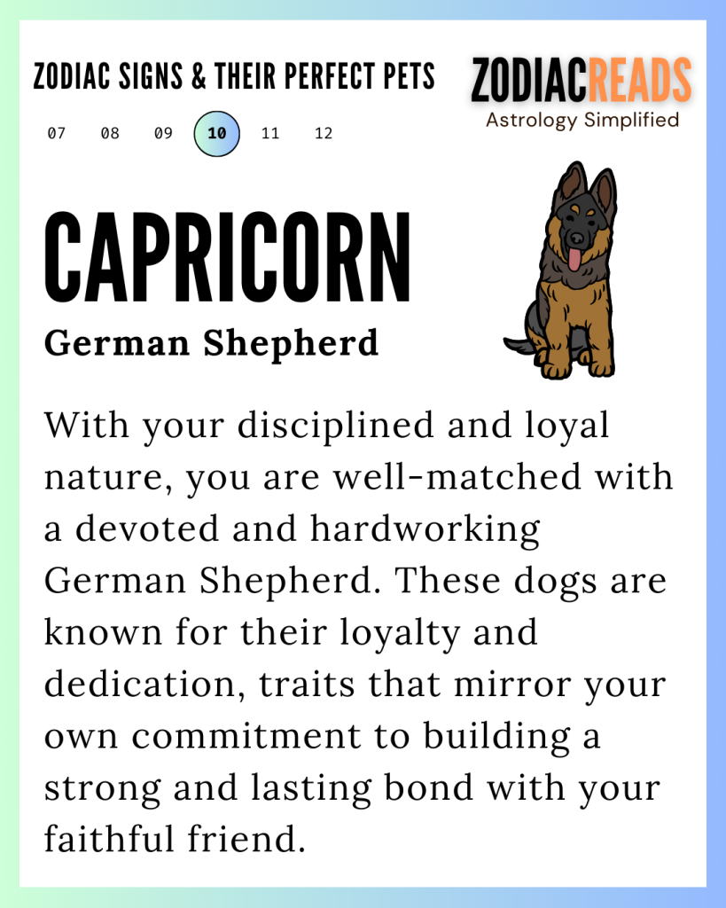 Capricorn and pet