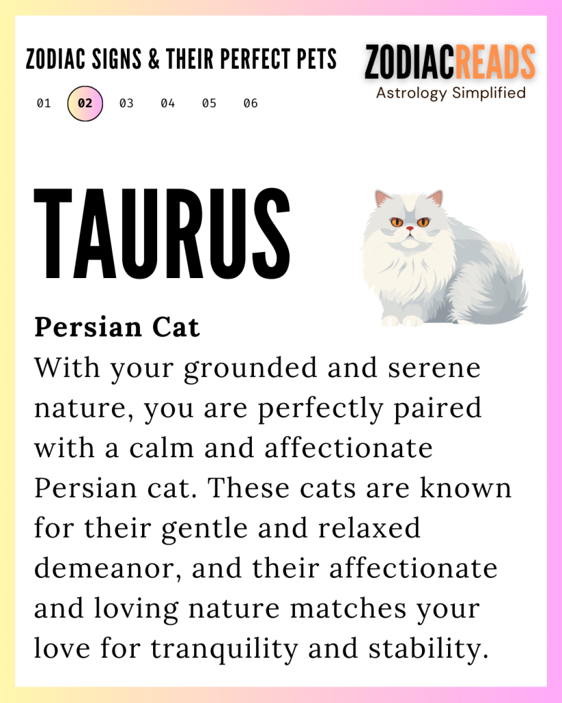 Taurus and pet