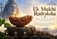 Ek Mukhi Rudraksha: Meaning, Benefits, and How to Wear It