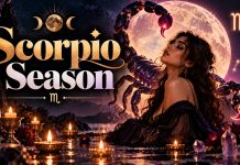 Scorpio Season 2026 The Venus Cazimi, Double Retrograde and Your Sign’s Forecast